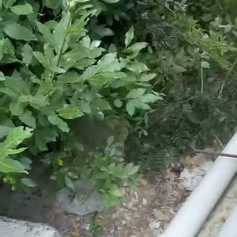 Arnavutköy Robotlu Su Tesisatçı
