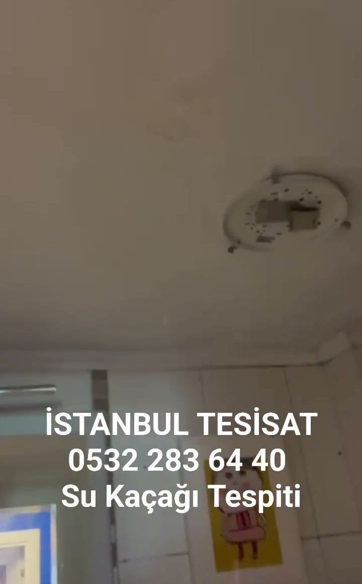 Banyo Duvarlarında Nem ve Rutubet Belirtileri