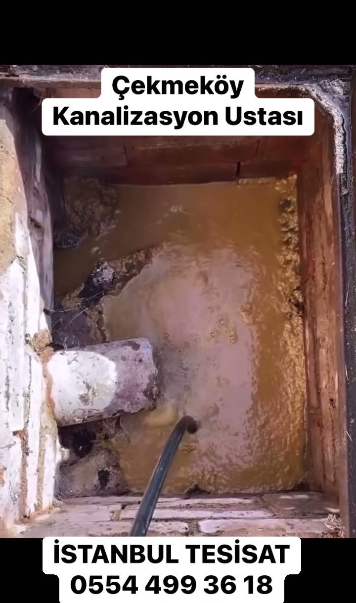 Bina ana gider borusu tıkandı