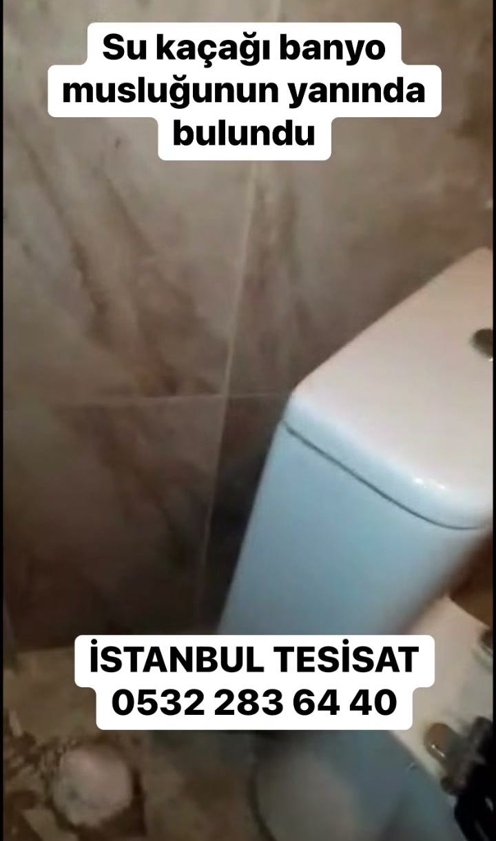 Klozet tıkanıklığı kırmadan açma
