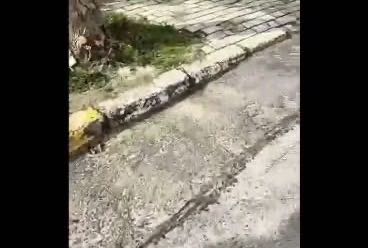 Kameralı pimaş açma ve görüntüleme