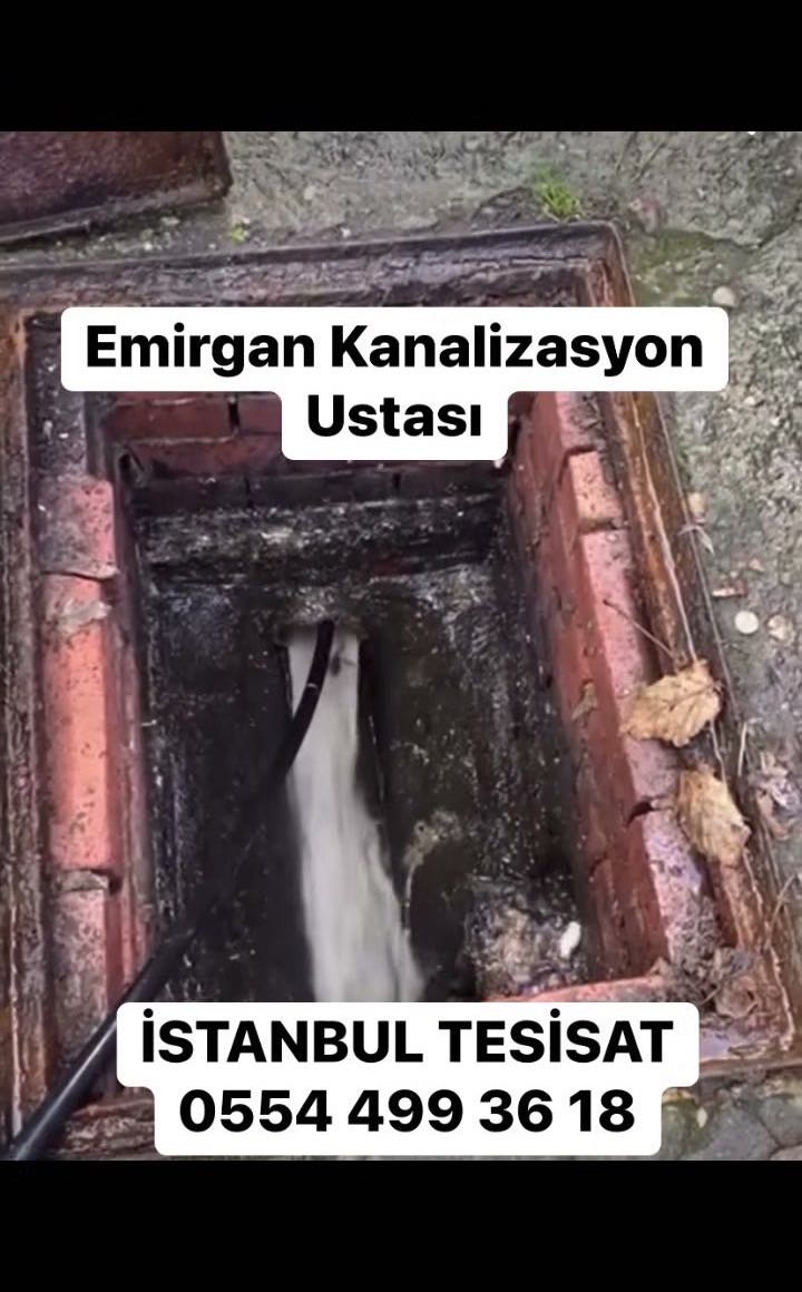 Klozet tıkanıklığı kırmadan açma