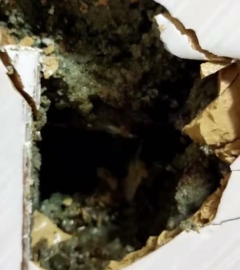 Bakırköy Şenlikköy Mahallesi Lavabo Tıkanıklığı Açan Tesisatçı Ustası