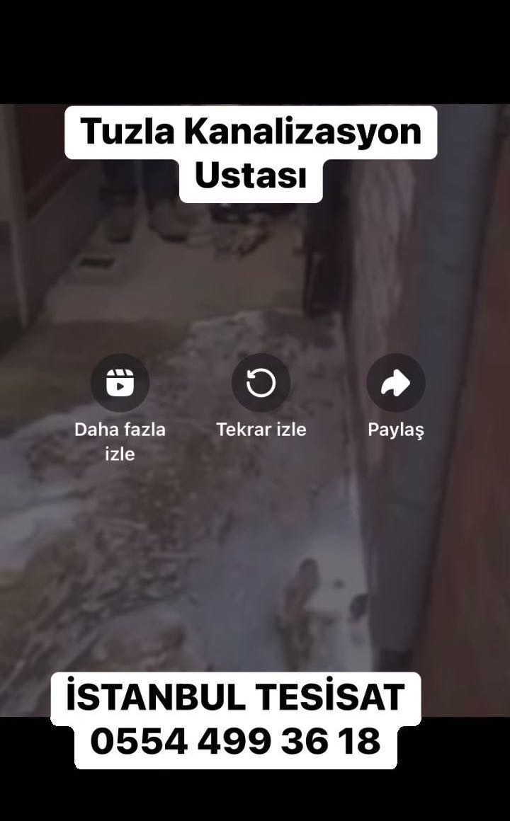 Tavanda su lekeleri ve dökülmeler