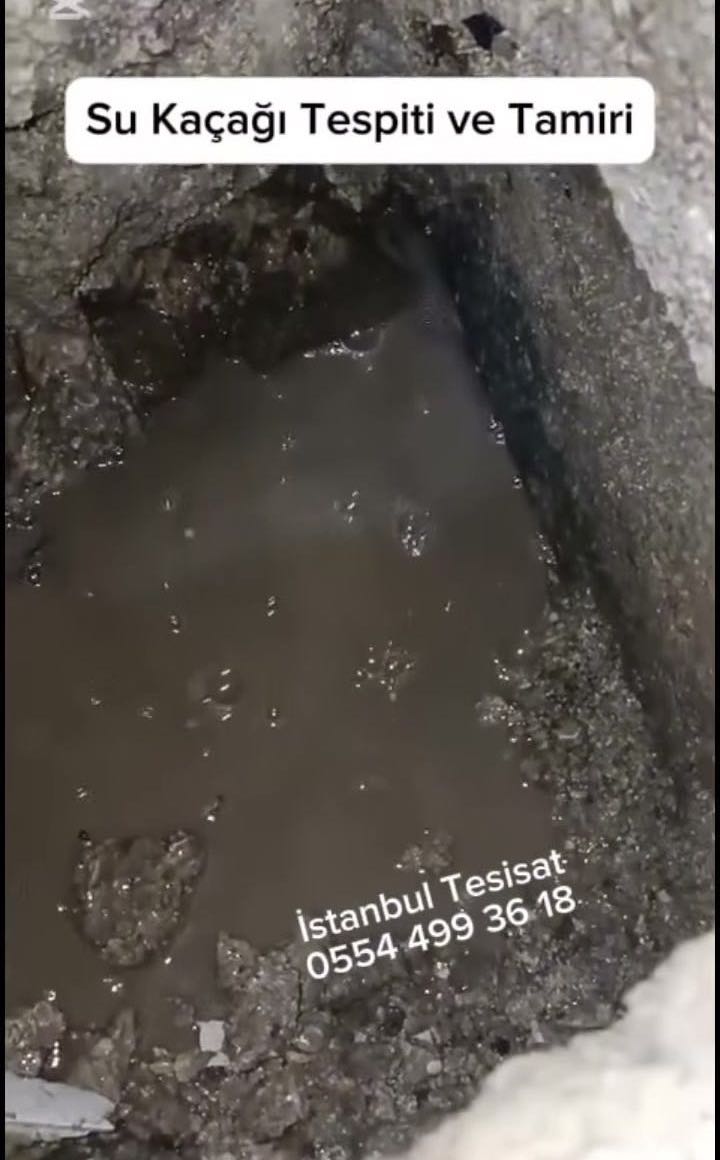 Duvarda rutubet ve boya kabarması
