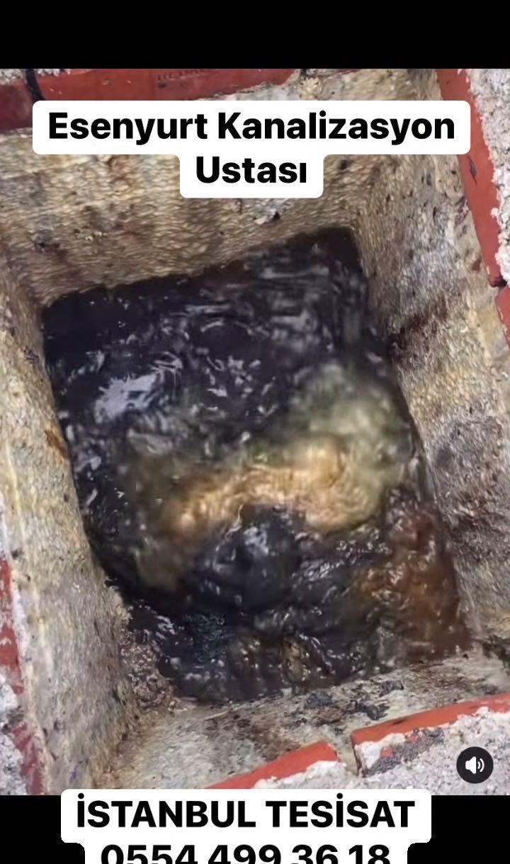 Gaziosmanpaşa Banyo Gideri Açan Su Tesisatçısı