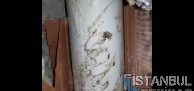 Gaziosmanpaşa Kameralı Pimaş Görüntüleme