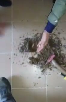 Banyodan alt kata su sızıyor