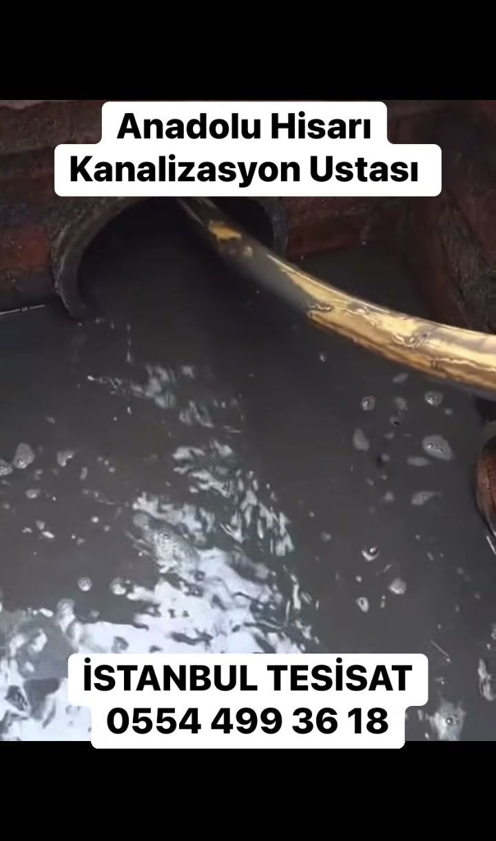 Koşuyolu Tıkalı Klozet Açan Tesisatçı