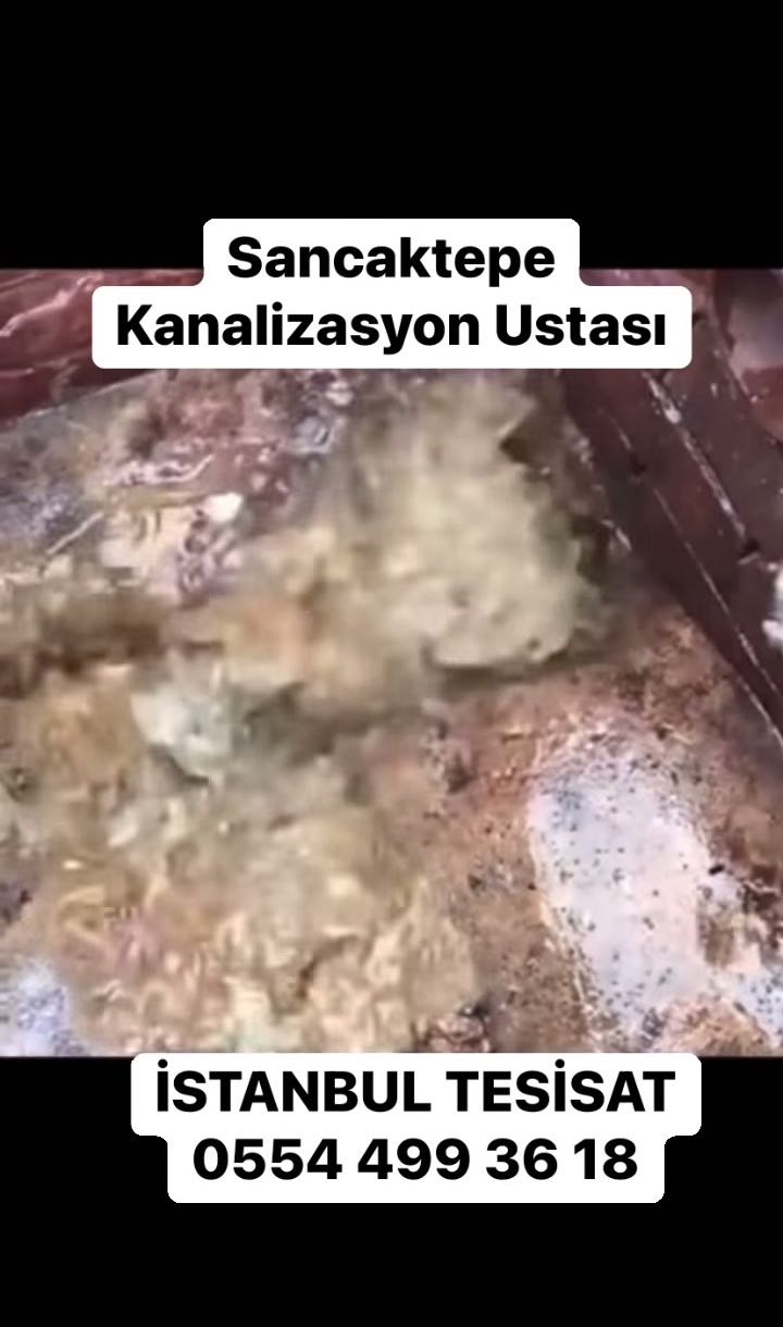 İstasyon Mahallesi Robotlu Su Tesisatçı