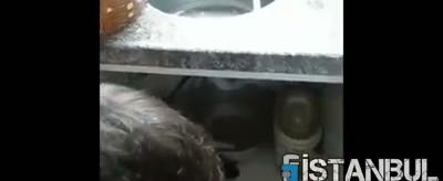 Mutfak lavabosu tıkandı su gitmiyor
