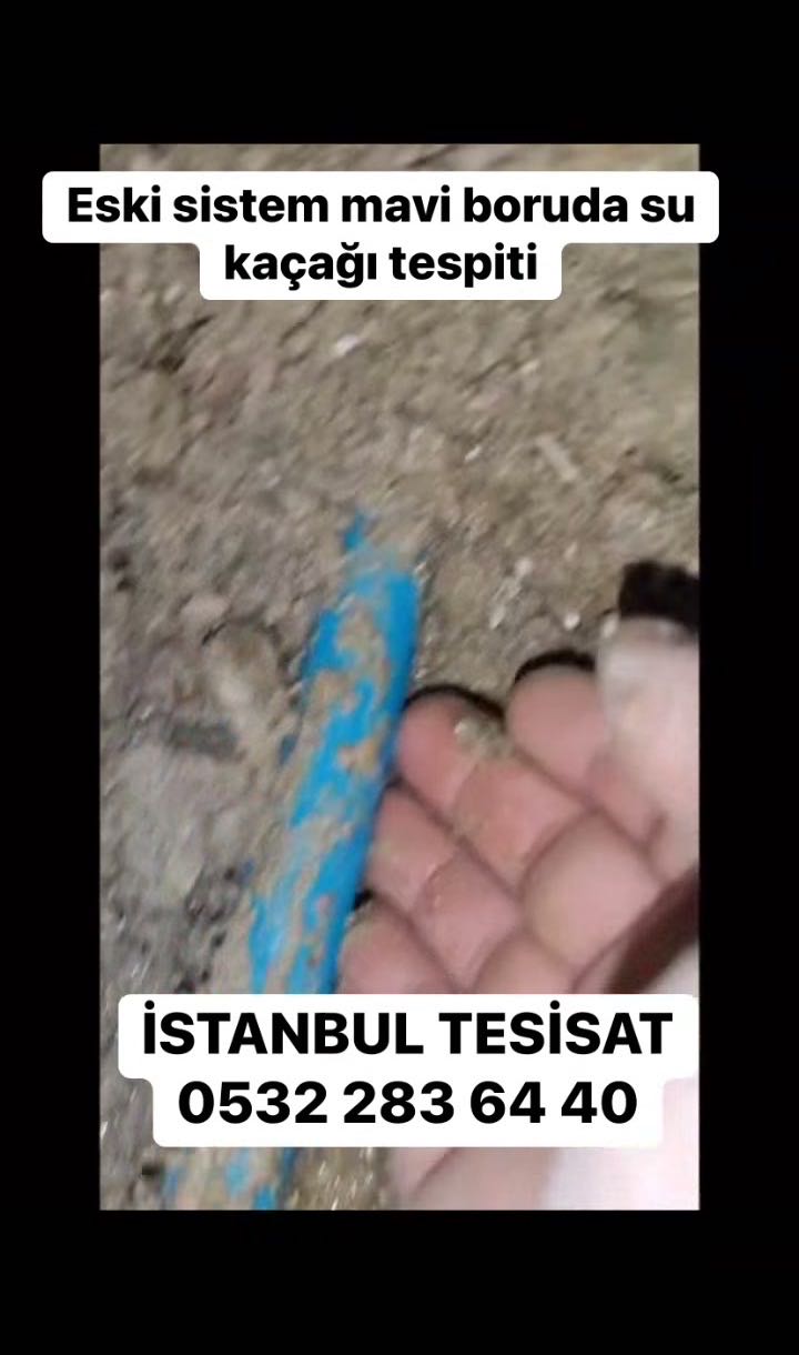 Duvarda ıslaklık ve rutubet var