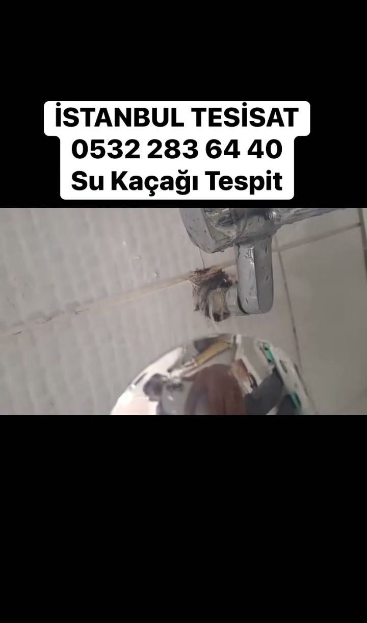 Duvarda ıslaklık ve rutubet var