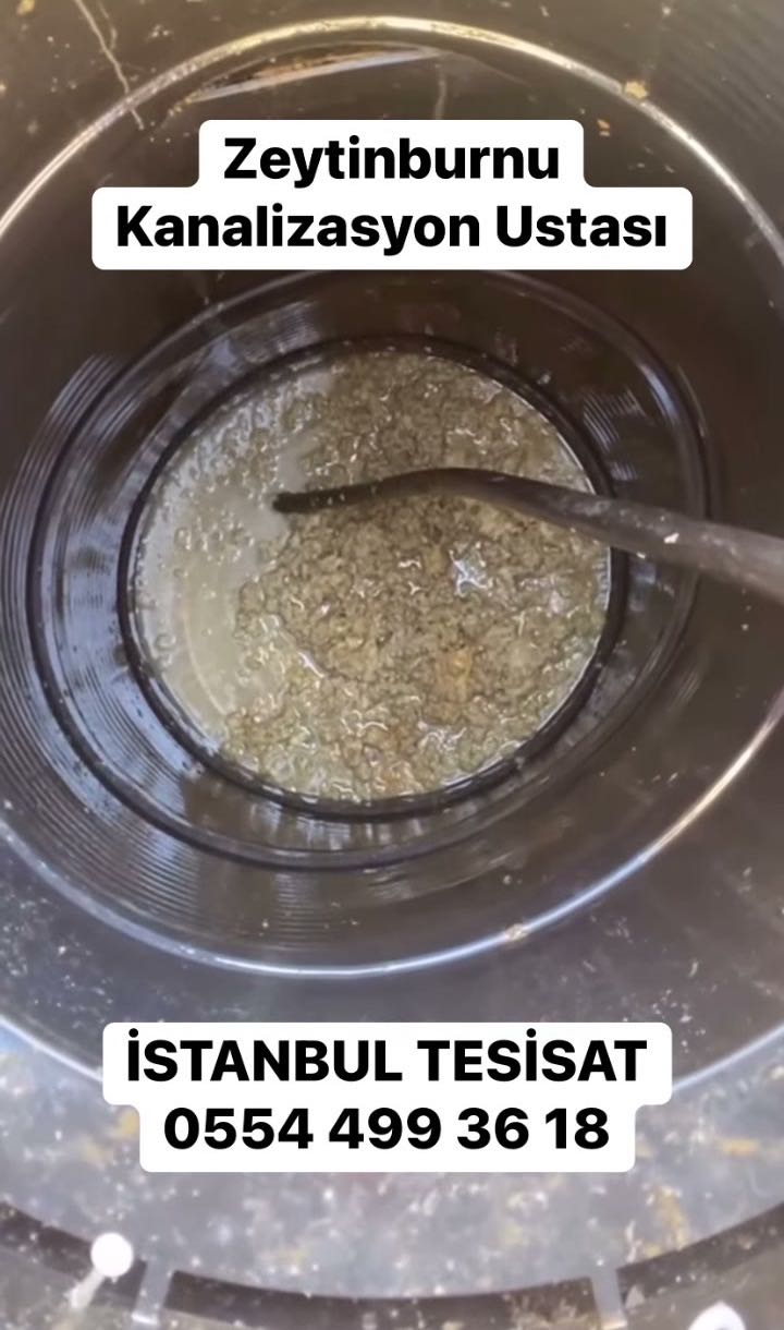 Tuvalet taştı pimaş açma servisi