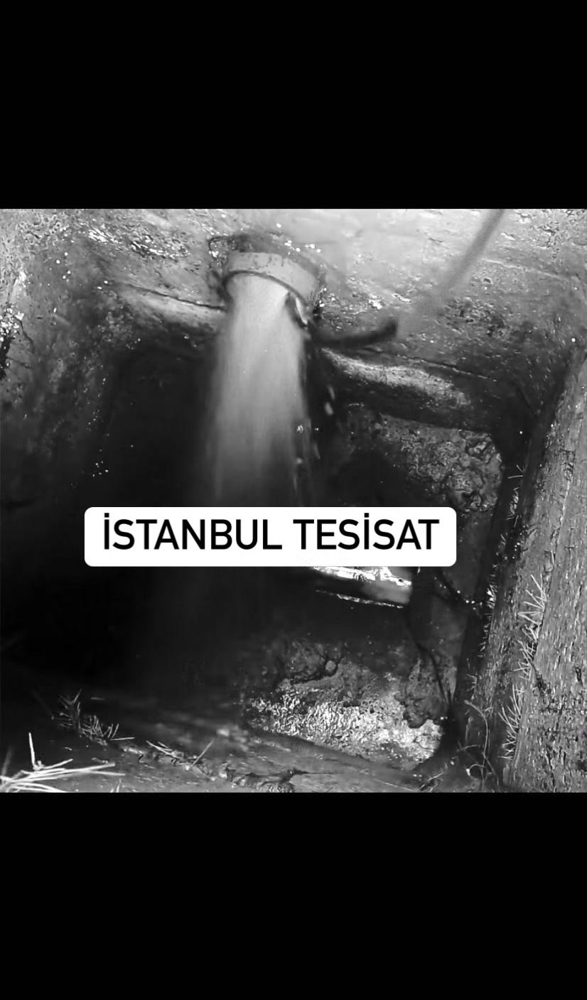 Duvarda ıslaklık ve rutubet var