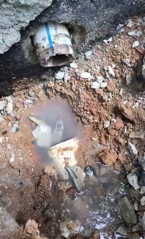 KurtKöy Tıkalı Klozet Açan Tesisatçı