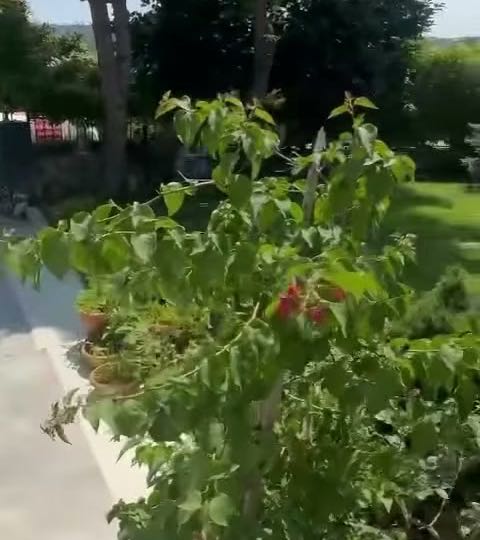 Eyup Kameralı Su Tesisatçısı