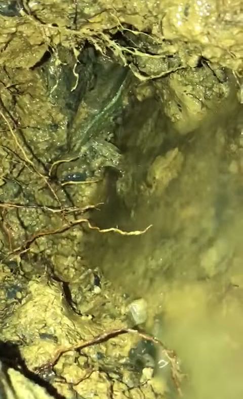 Şerifali Makine ile Tıkanıklık Açan Tesisatçı
